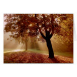 Autumn dreams cards