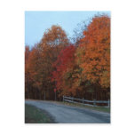 Autumn Drive--2 Postcard