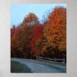 Autumn Drive--2 Print