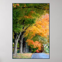 Autumn Drive Posters