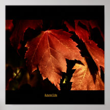 Autumn Echo Poster