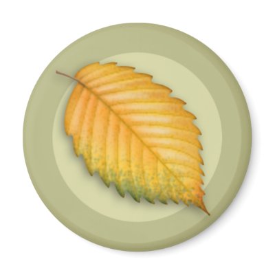 Autumn Elm Leaf Magnet by jamieco