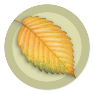 Autumn Elm Leaf Round Sticker by jamieco