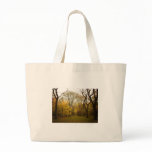 Autumn Elm Trees in Central Park, New York City Tote Bag