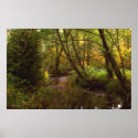 Autumn escape posters