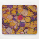 Autumn Fall Mousepads