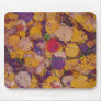 Autumn Fall Mousepads