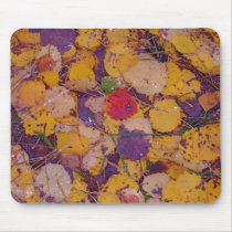 Autumn Fall mousepads