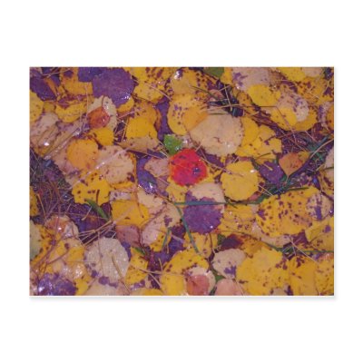Autumn Fall Postcards by maritune