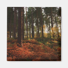 Autumn Ferns Refrigerator Magnets