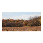 Autumn Field Photo Art