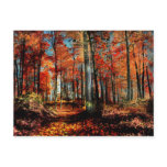 Autumn fire, postcards
