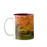 Autumn Flames Coffee Mugs