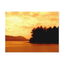 Autumn Flames Postcards
