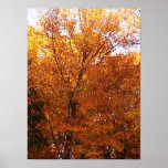 Autumn Flames Print