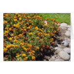 Autumn flowers card
