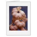Autumn Flowers cards