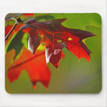 Autumn Foliage photo mousepad