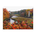 Autumn Foliage Postcard