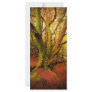 Autumn Forest