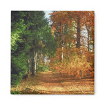 Autumn Forest Walk Fridge Magnet