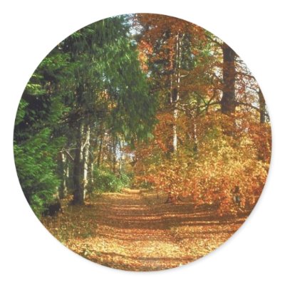 Autumn Forest Walk Sticker by alternateworlds