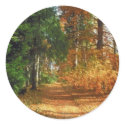 Autumn Forest Walk stickers
