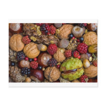 Autumn fruits