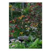 Autumn Garden Card