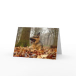 Autumn German Shepherd Card