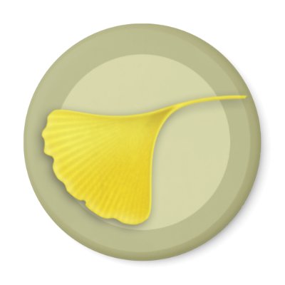 Autumn Ginkgo Leaf Magnet by jamieco