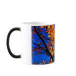 Autumn Glory mugs
