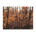 Autumn Glory postcards