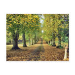 Autumn Glory Post Cards