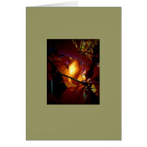 Autumn Glow 1 Card