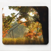 Autumn Glow Mouse Pad
