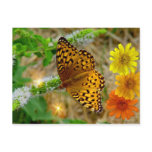 Autumn Glow Postcards