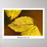 Autumn Gold 06 posters