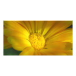 Autumn Gold Custom Photo Card