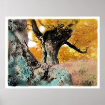 Autumn gold,poster