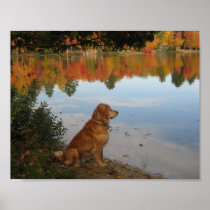 Autumn Gold Print