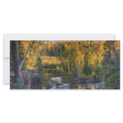 Autumn Gold by DuluthGifts