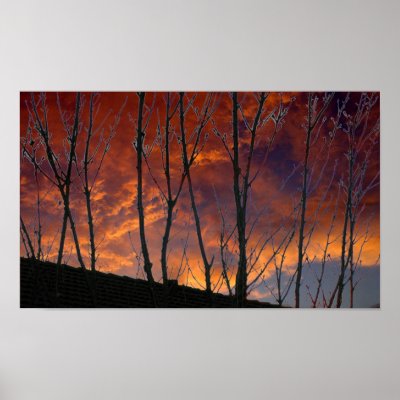 Autumn Gold Sunset in the Country Poster by LorrieM