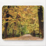 Autumn golden path mousepad