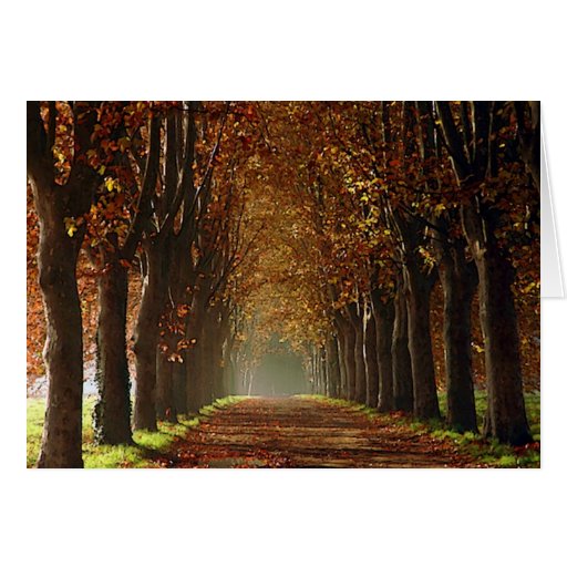 autumn greeting cards