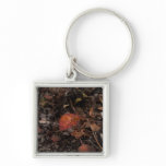 Autumn Growth Keychains