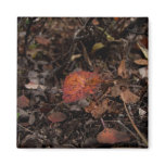 Autumn Growth Fridge Magnet