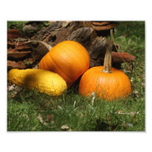 Autumn Harvest 10 x 8 Photographic Print