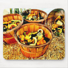 Autumn Harvest Pumpkins & Gourds Thanksgiving Mousepads