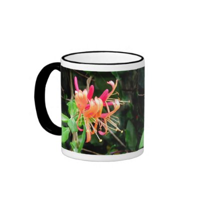 Autumn Honeysuckle ~ mug by Andy2302